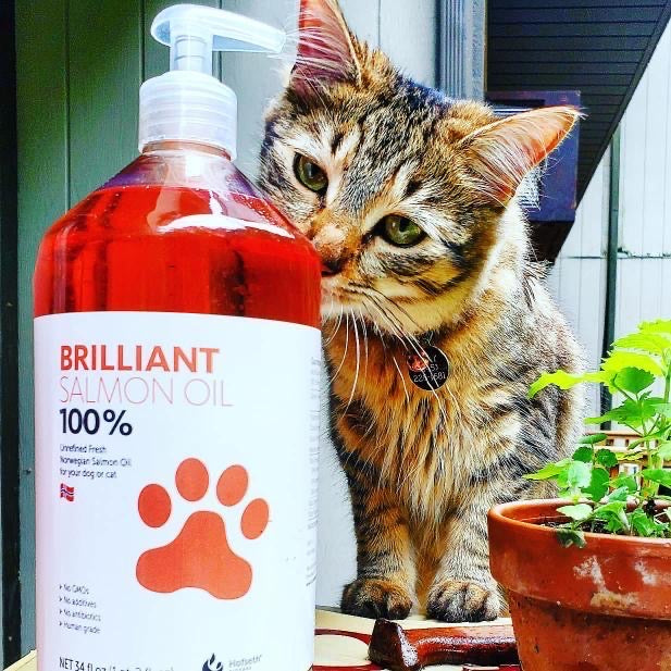 Brilliant Norwegian Salmon Oil
