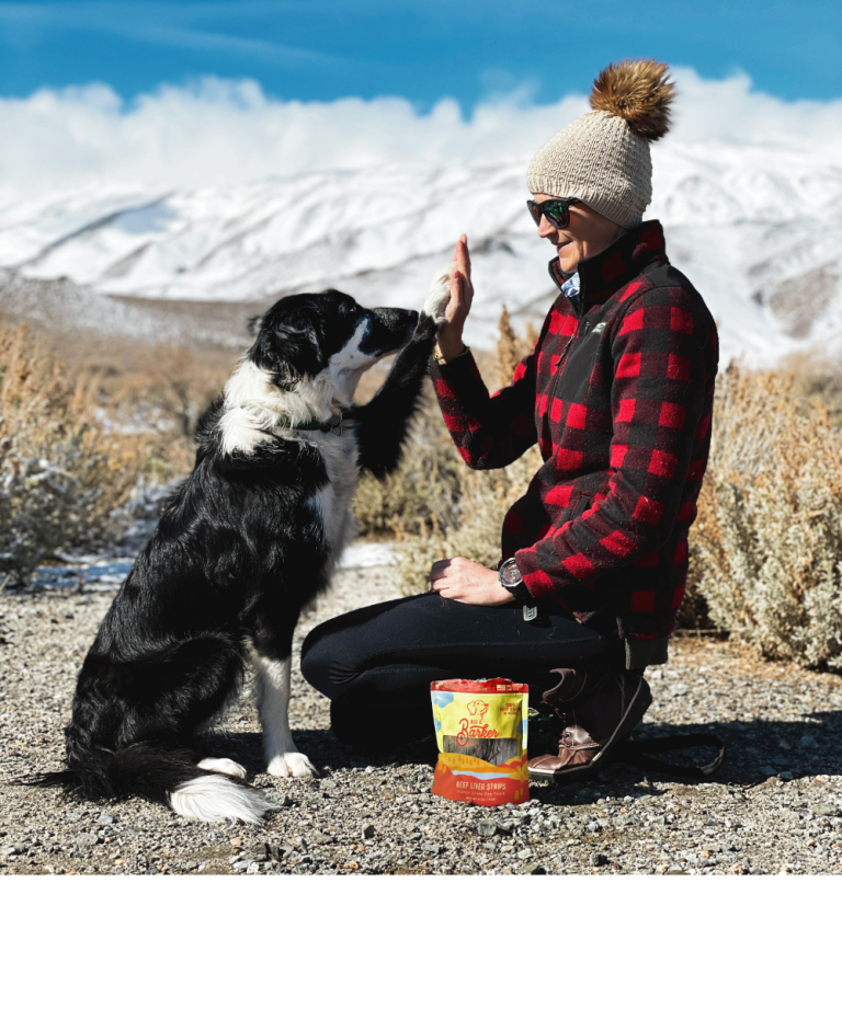 Beg & Barker Dog Treats-Beef