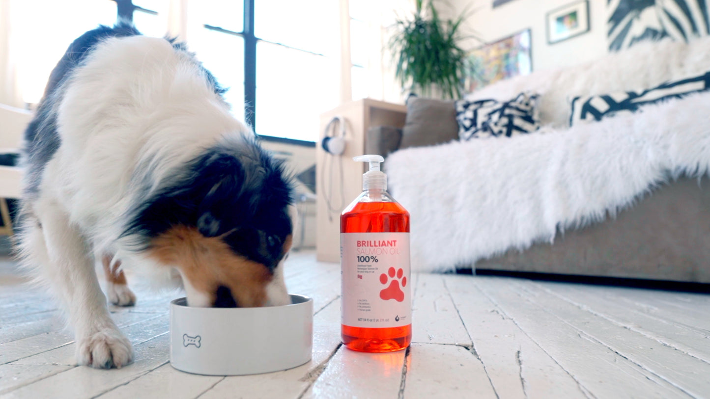 Brilliant Norwegian Salmon Oil