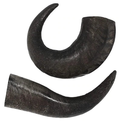 Buffalo Horn Dog Chews