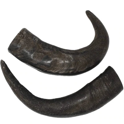 Buffalo Horn Dog Chews