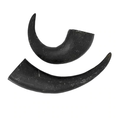 Buffalo Horn Dog Chews