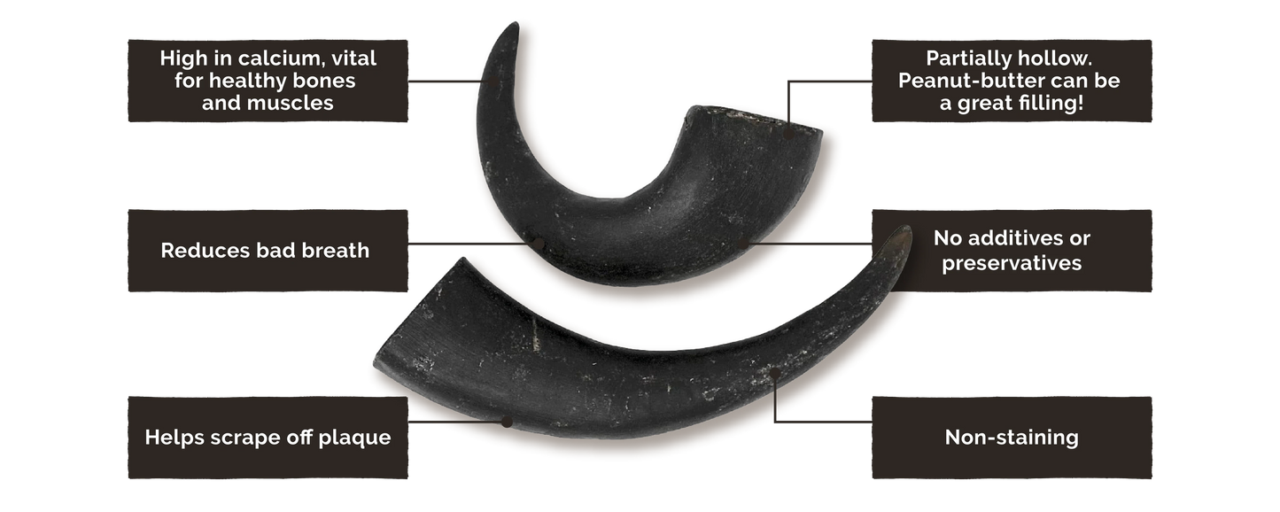 Buffalo Horn Dog Chews