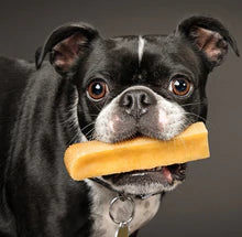All-natural Yak Milk Dog Chews