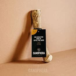 Canophera Coffee Wood Stick