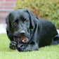 Buffalo Horn Dog Chews
